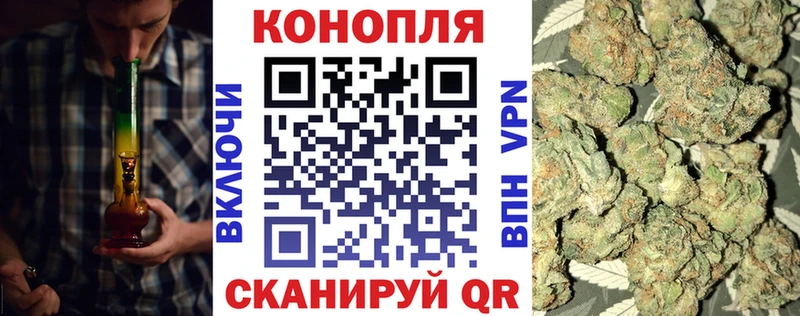 магазин  наркотиков  Талдом  Каннабис сатива 